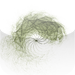 Binaural Beats: Wake Up